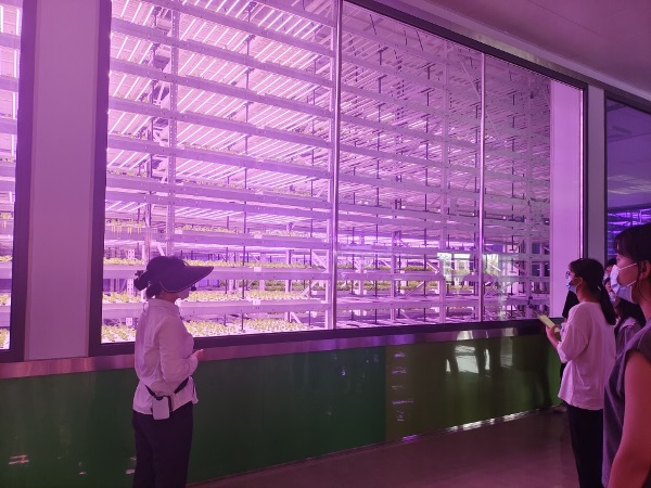 52895793086a423d9509092a25124a1b.jpg 2.jpg