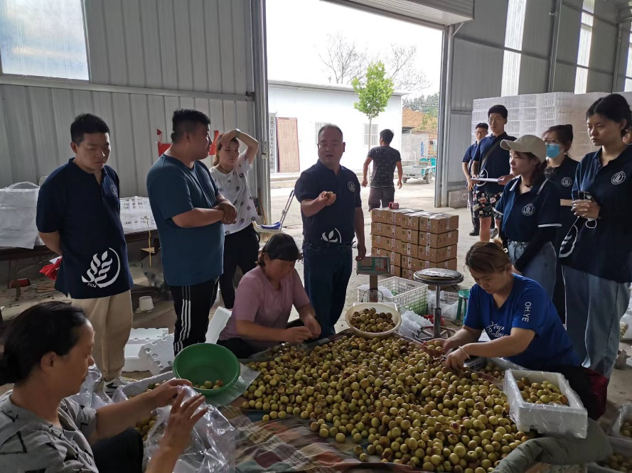 f74344e85c4344fd98f0db4d59d9f789.png f74344e85c4344fd98f0db4d59d9f789.png